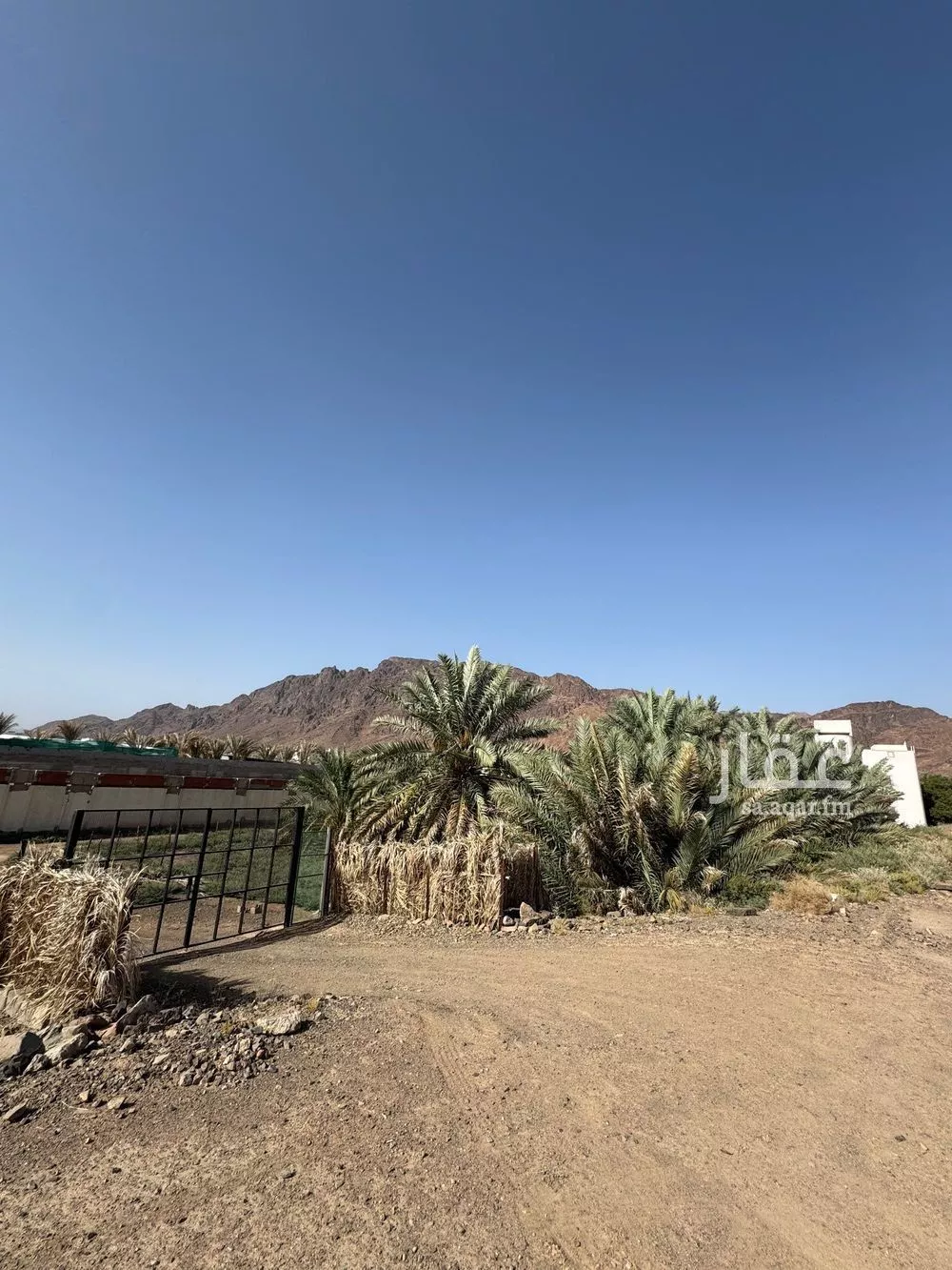 23259 sqm land in Al Uyun 2