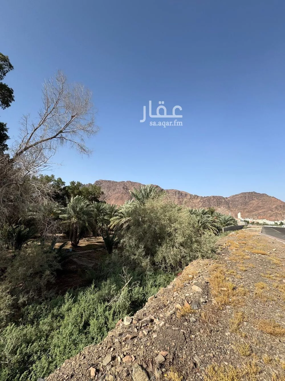 23259 sqm land in Al Uyun 3