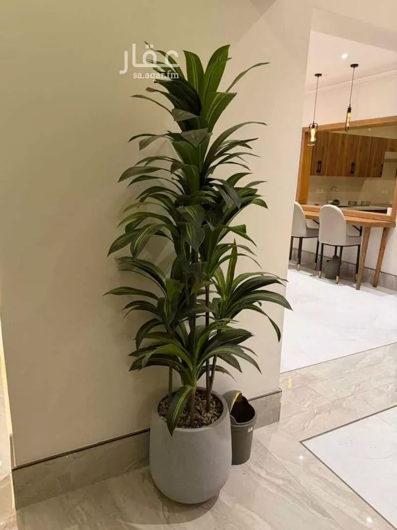 3 bedroom apartment in Al Hamra 4