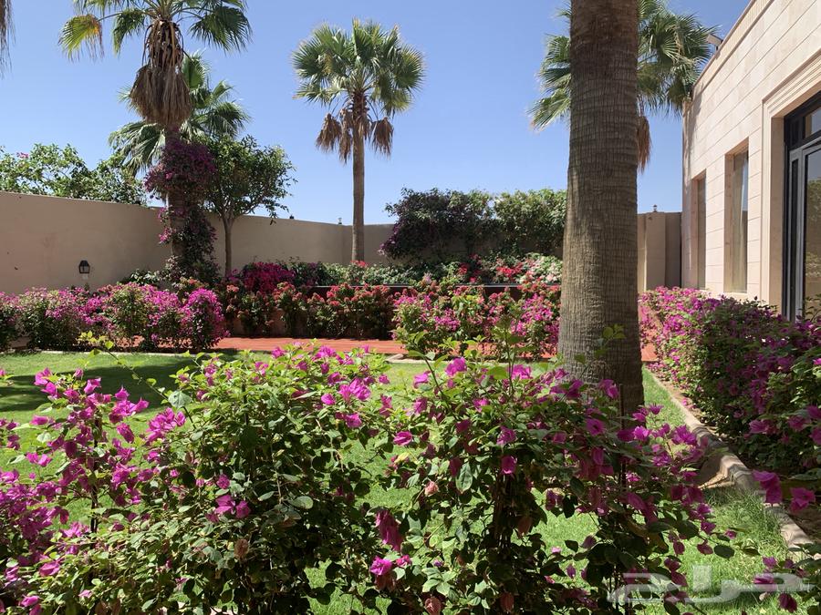 4 bedroom villa in Al Rashidiyyah 2