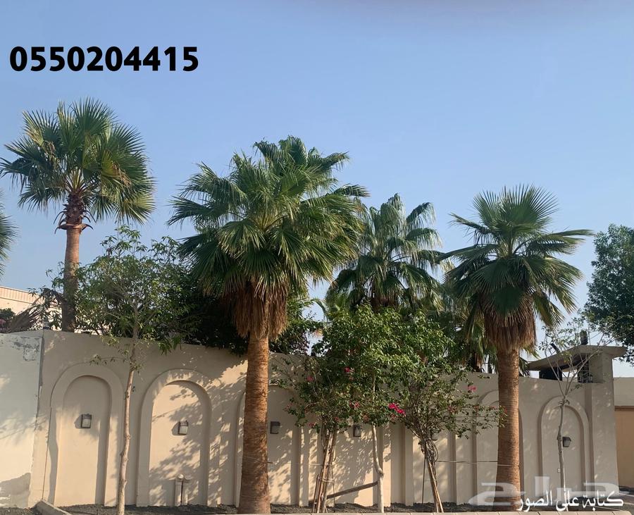 4 bedroom villa in Al Rashidiyyah 6