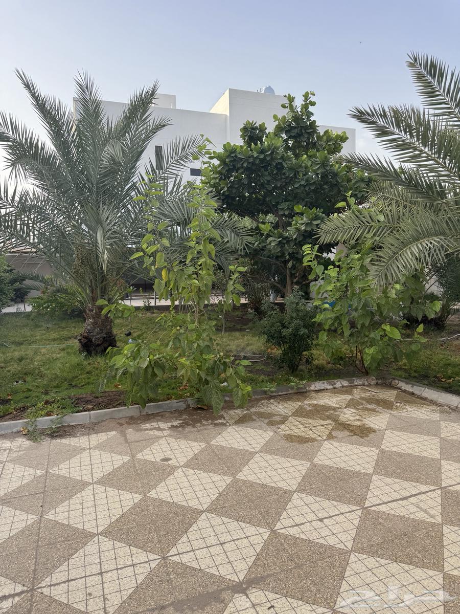 5 bedroom apartment in Al Ranuna 7