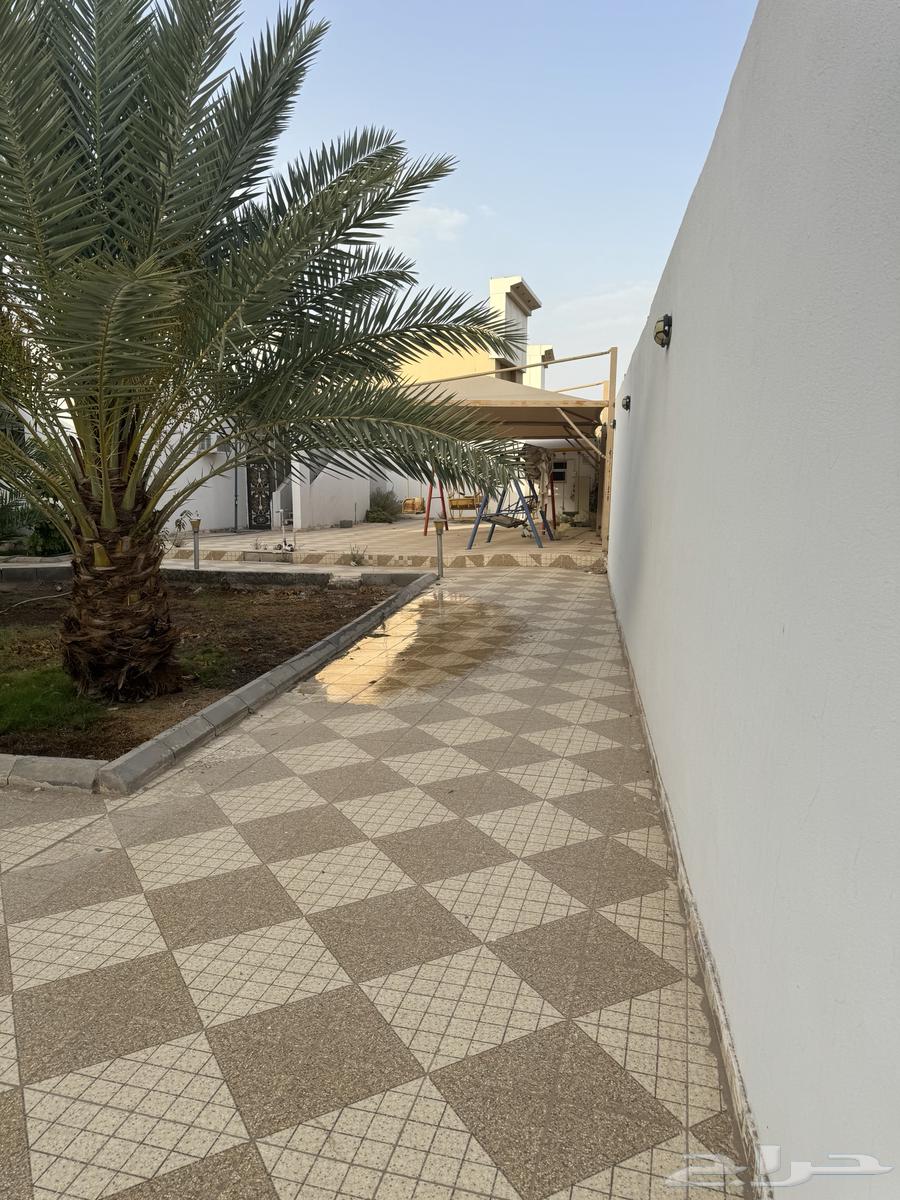 5 bedroom apartment in Al Ranuna 8