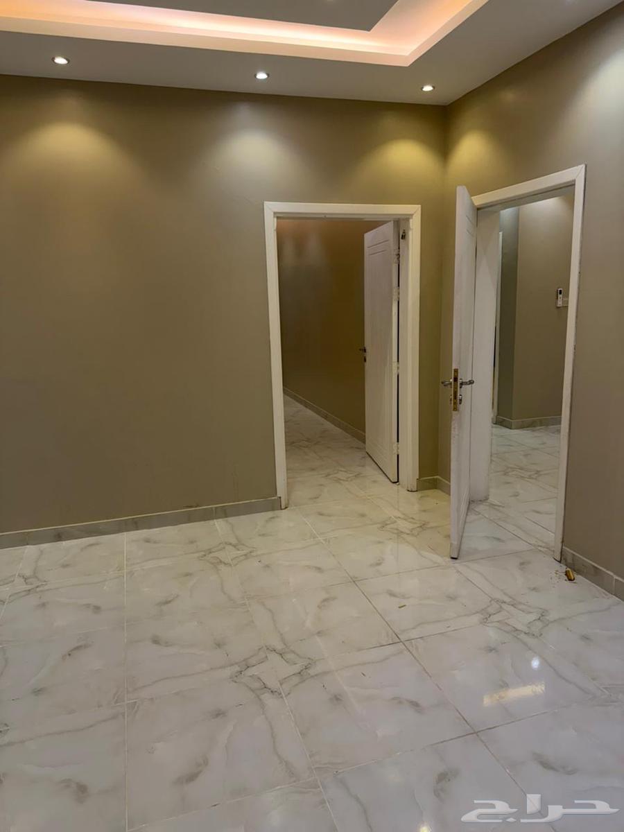 20 bedroom apartment in Shawran 5