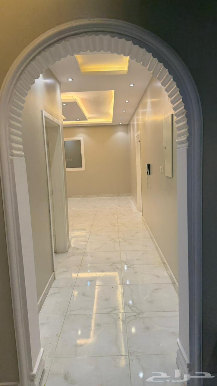20 bedroom apartment in Shawran 6