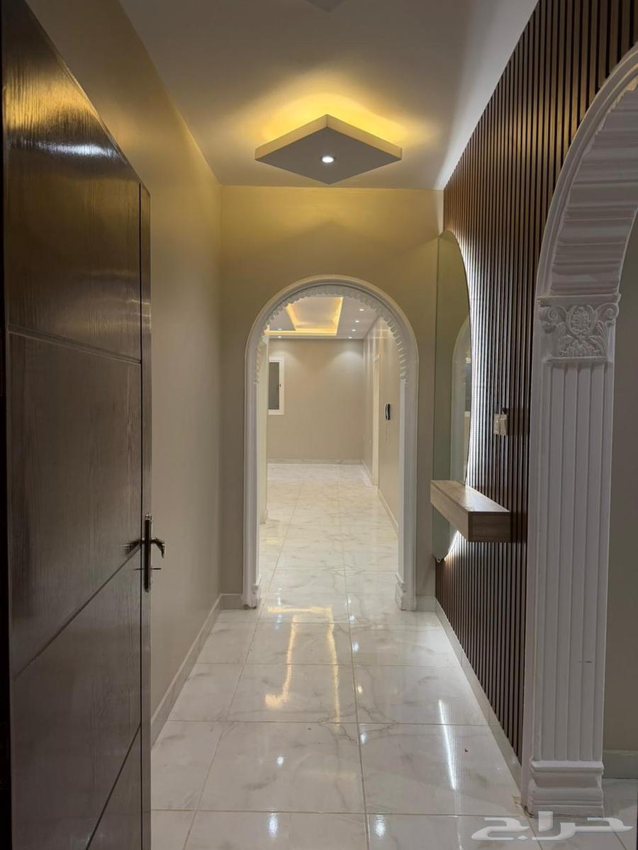 20 bedroom apartment in Shawran 8