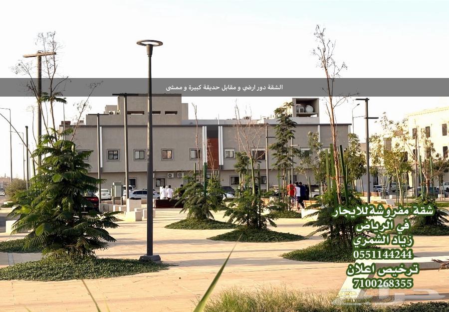 2 bedroom apartment in Al Qadisiyah 6
