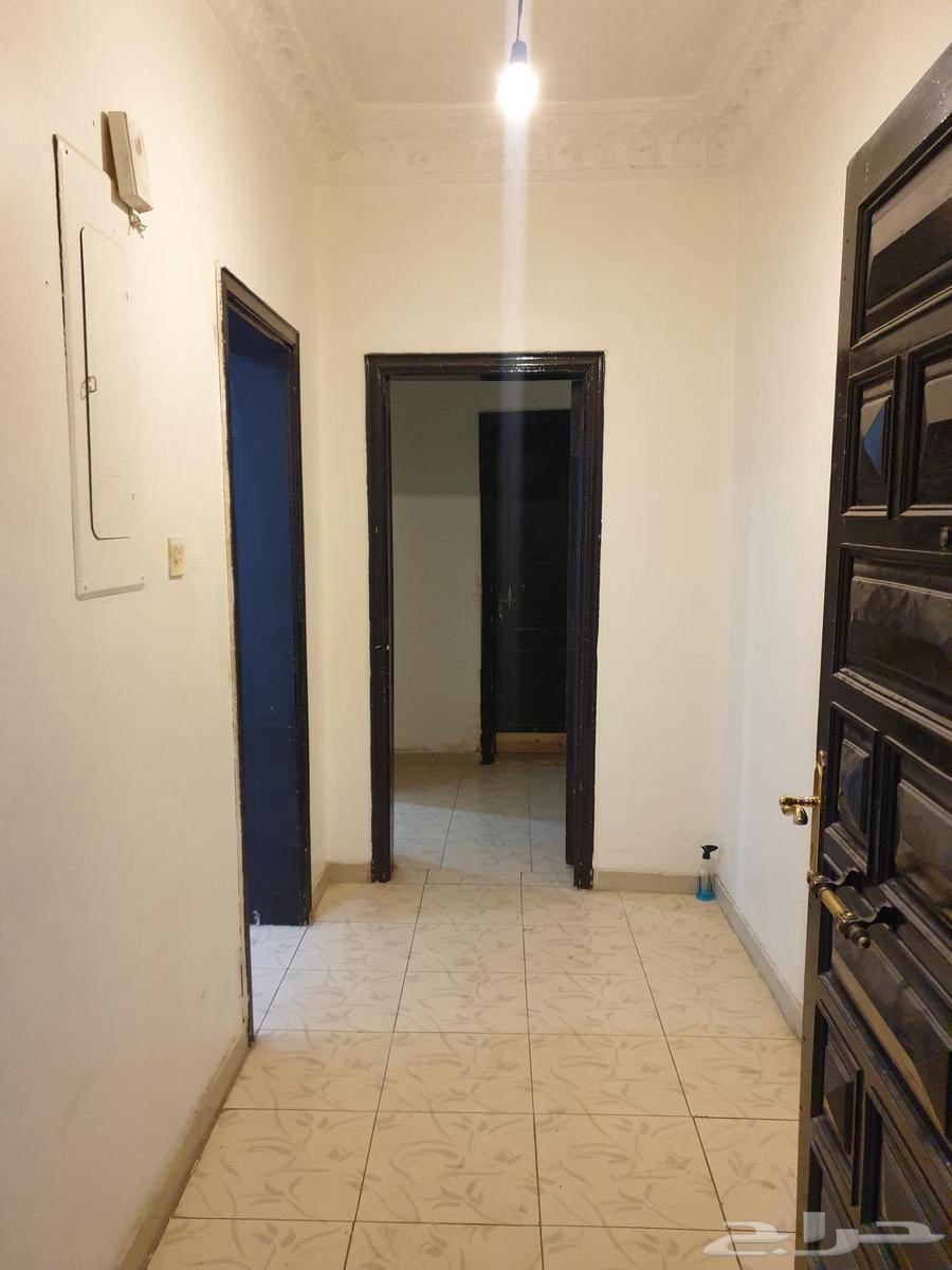 5 bedroom apartment in Sultana 2