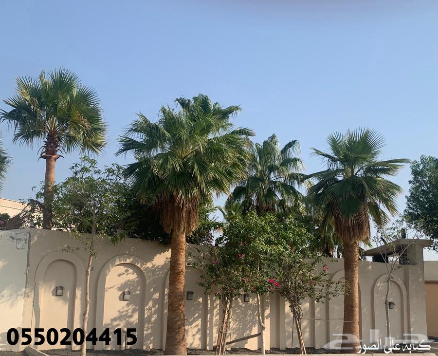 4 bedroom villa in Al Khadra 5