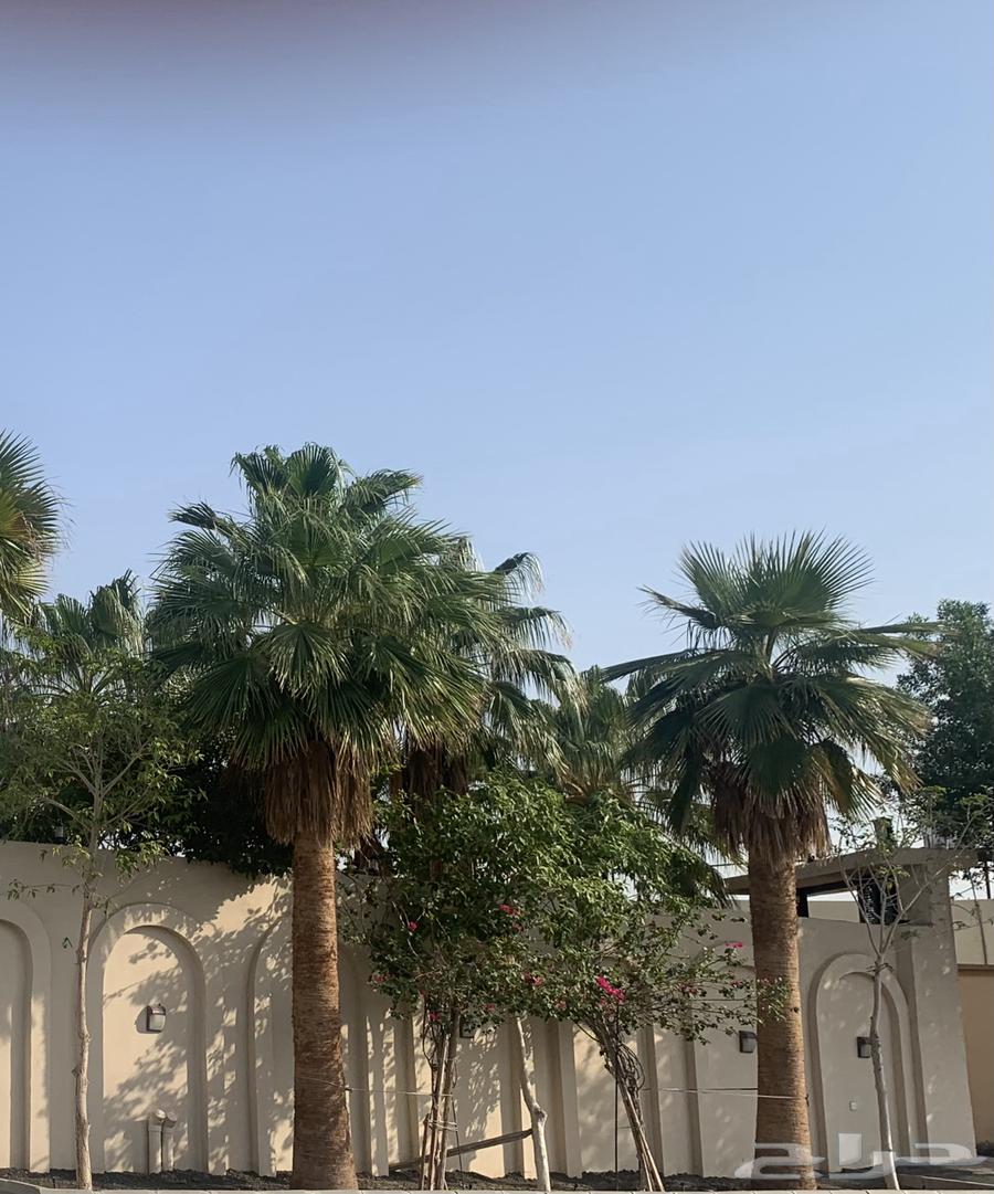 4 bedroom villa in Al Khadra 8
