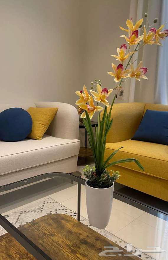 5 bedroom apartment in Al Difa 6