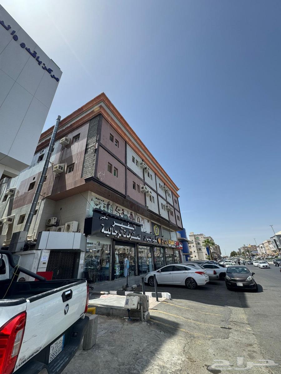 50 bedroom apartment in Al Samer 3