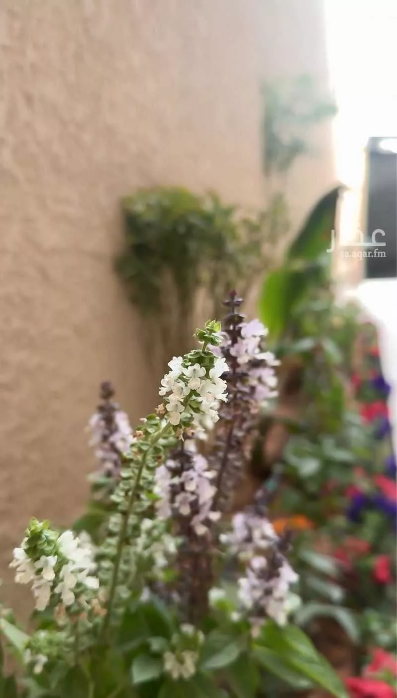 دور 3 غرف في الملك فهد 4