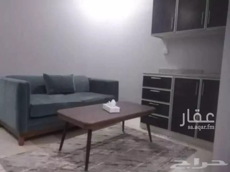 شقة 1 غرف في المنصورة 6