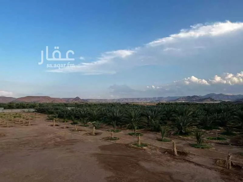 أرض 30000 م² في البلقاء 3