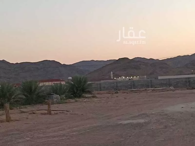 أرض 30000 م² في البلقاء 4
