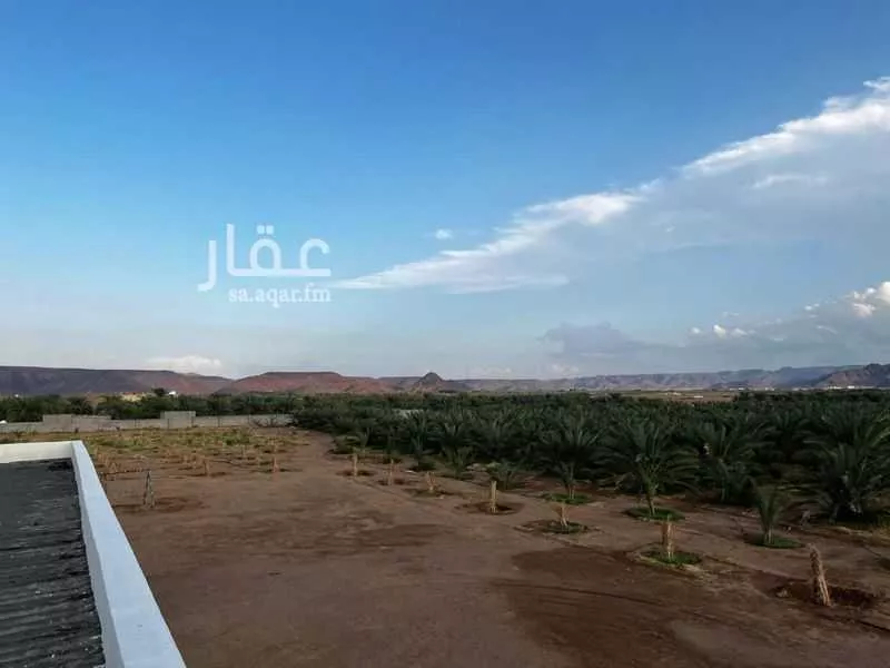 أرض 30000 م² في البلقاء 5
