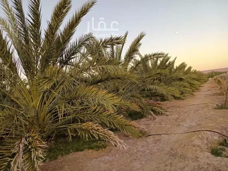 أرض 30000 م² في البلقاء 6