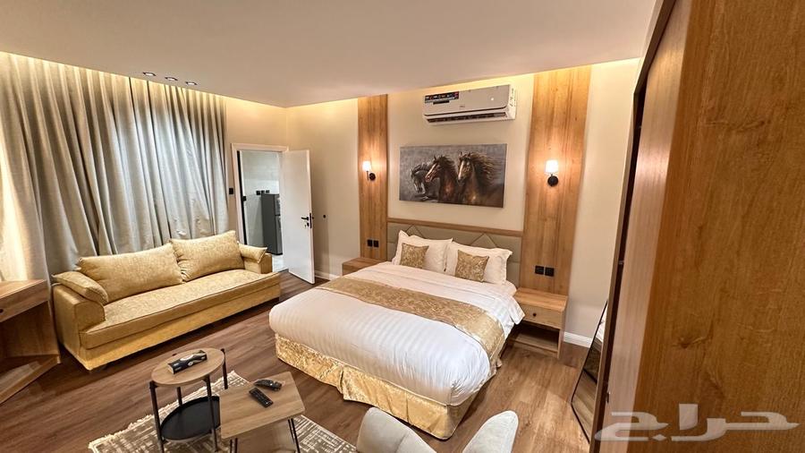 1 bedroom apartment in Al Aqiq 2