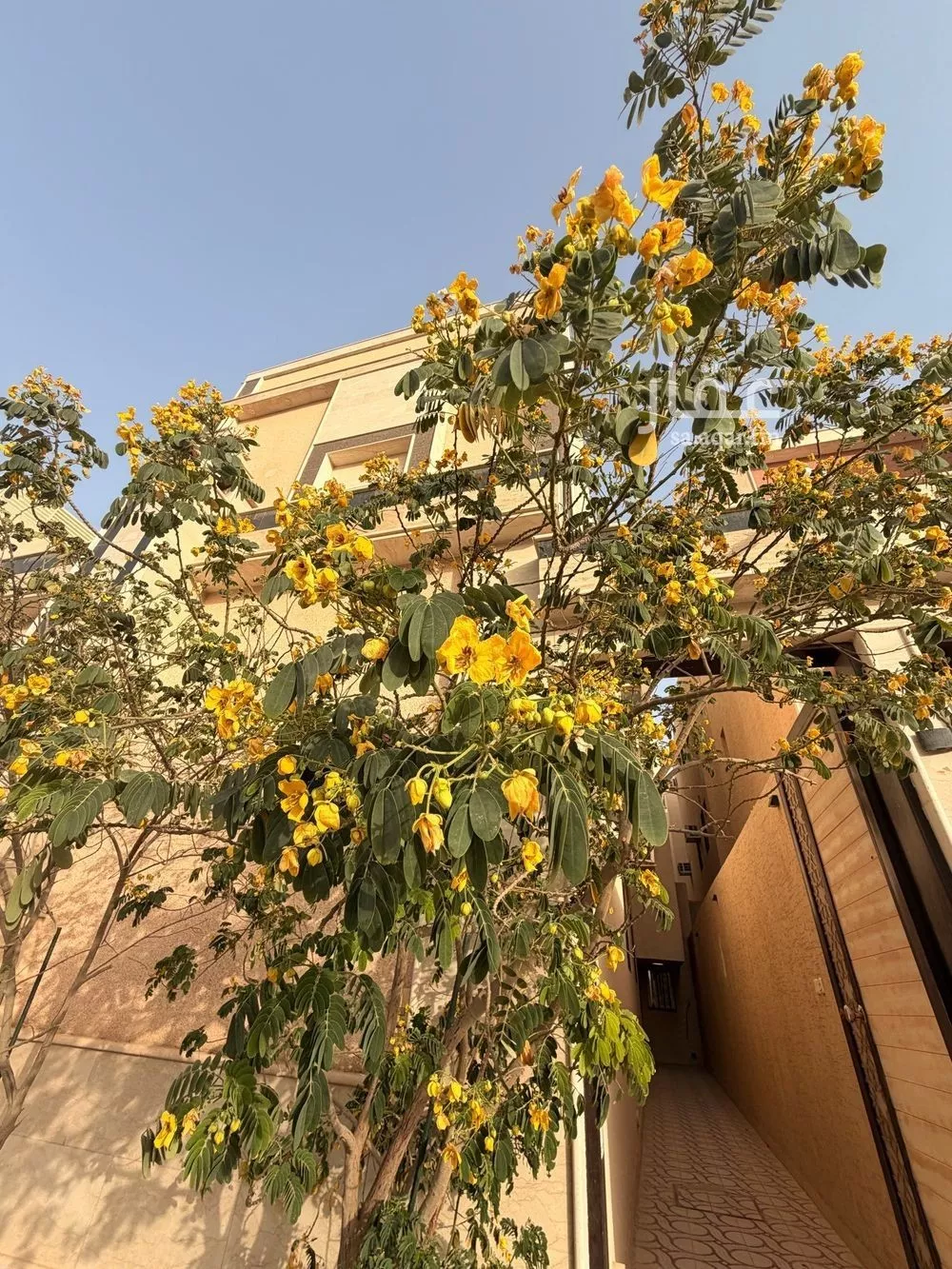 دور 1 غرف في الرمال 8