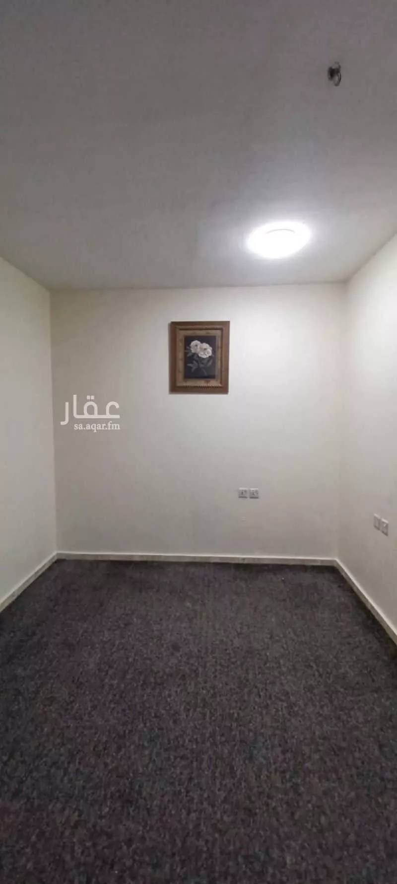 شقة 1 غرف في الخليج 7