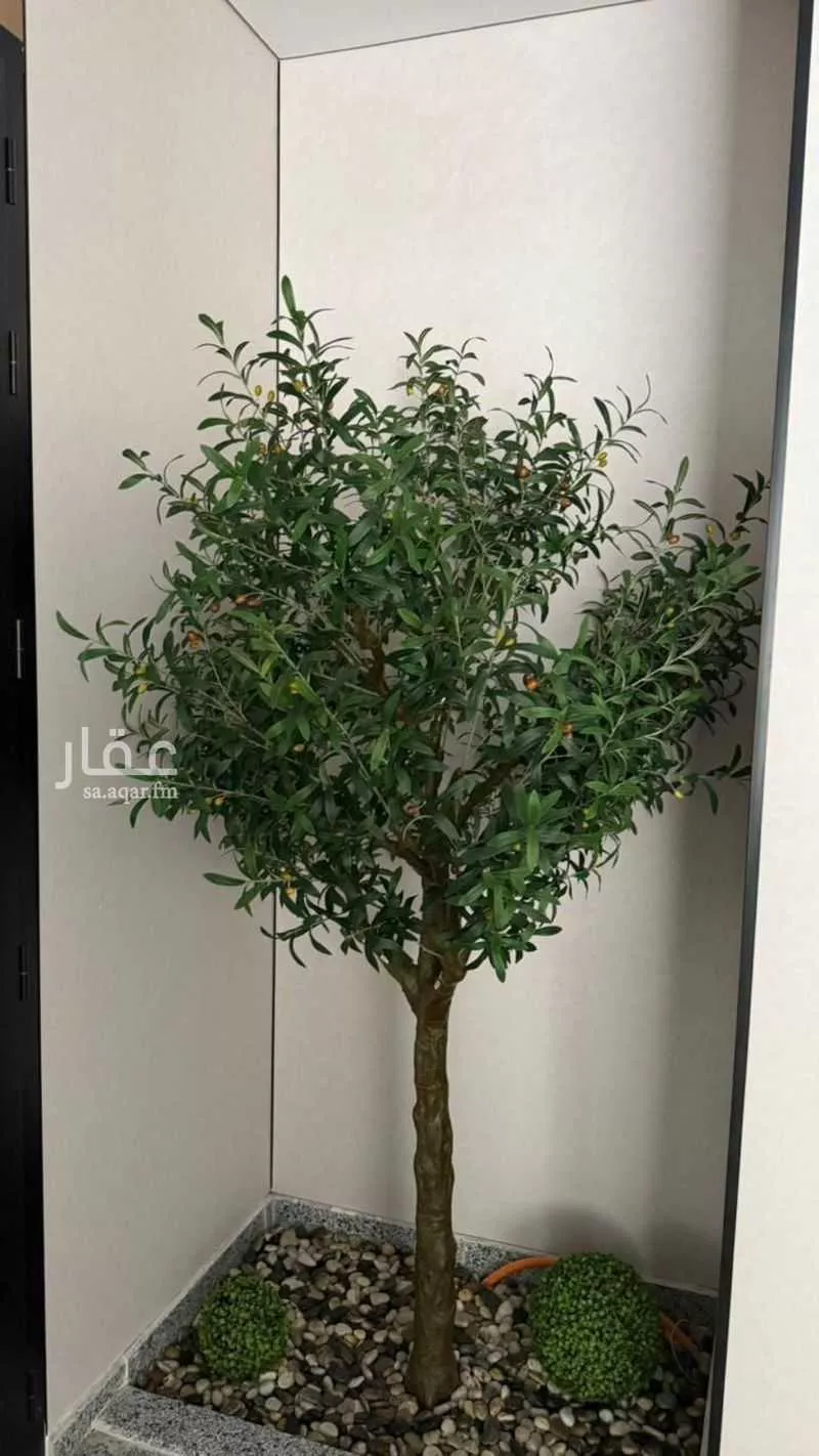 شقة 4 غرف في الصفا 25