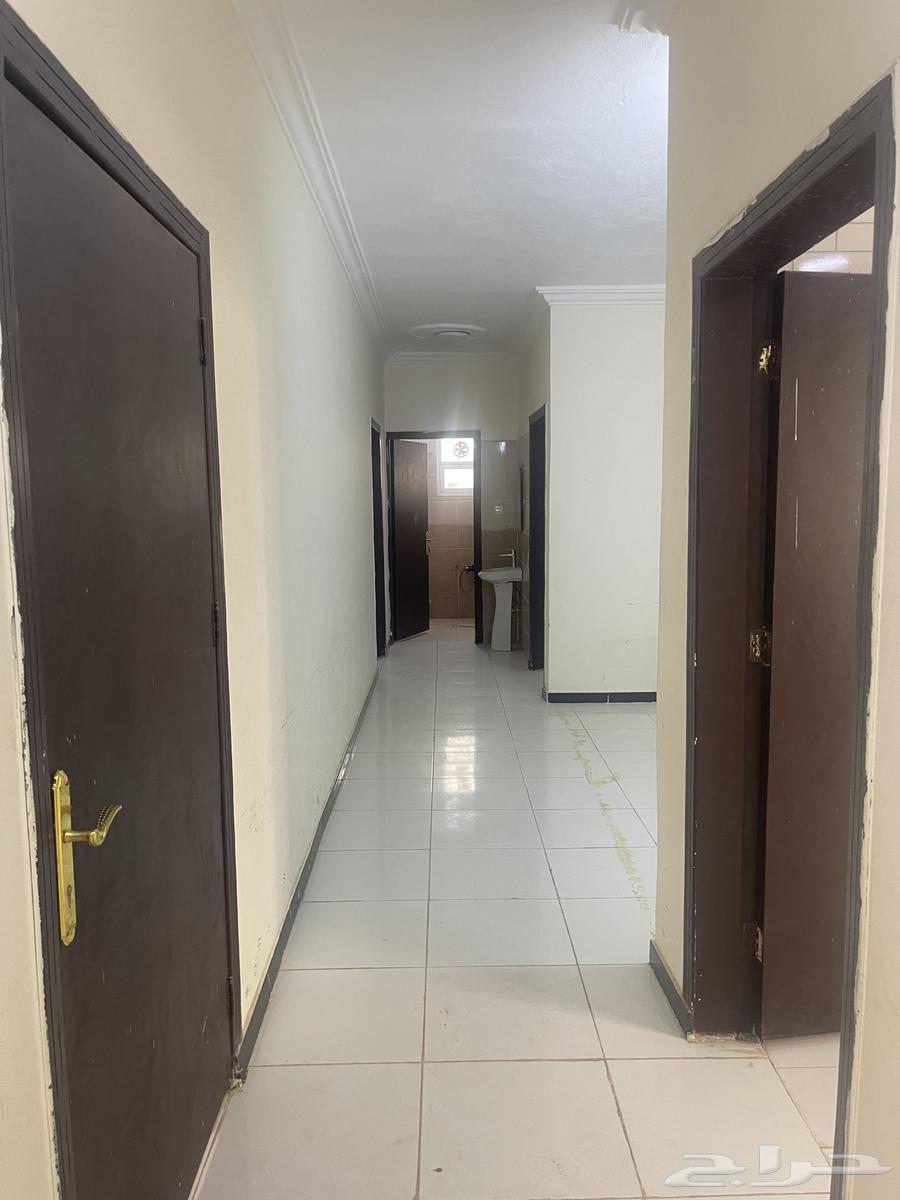 3 bedroom apartment in Al Rimal 3