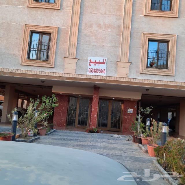 5 bedroom apartment in Al Hamra 11