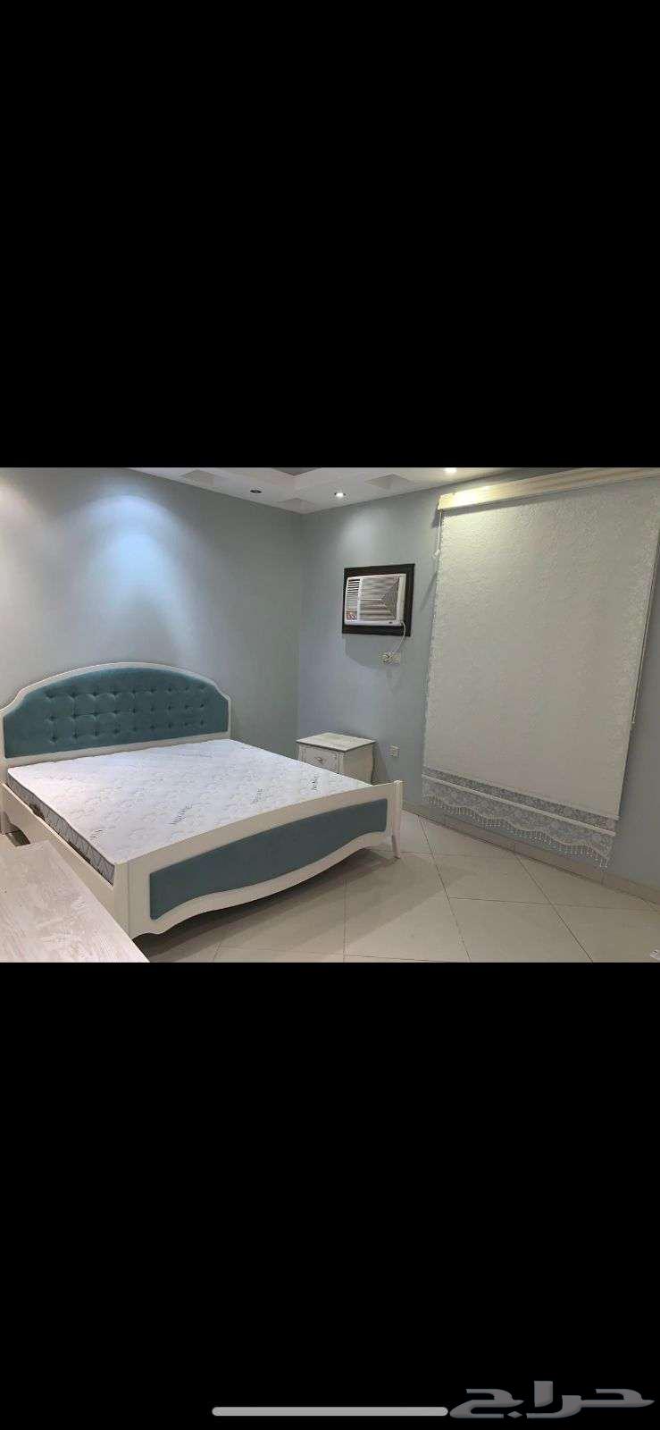 شقة في بنى حارثة