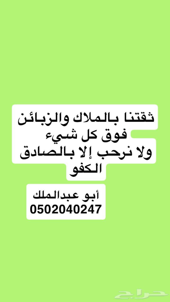 شقة 2 غرف في الشعلة 24