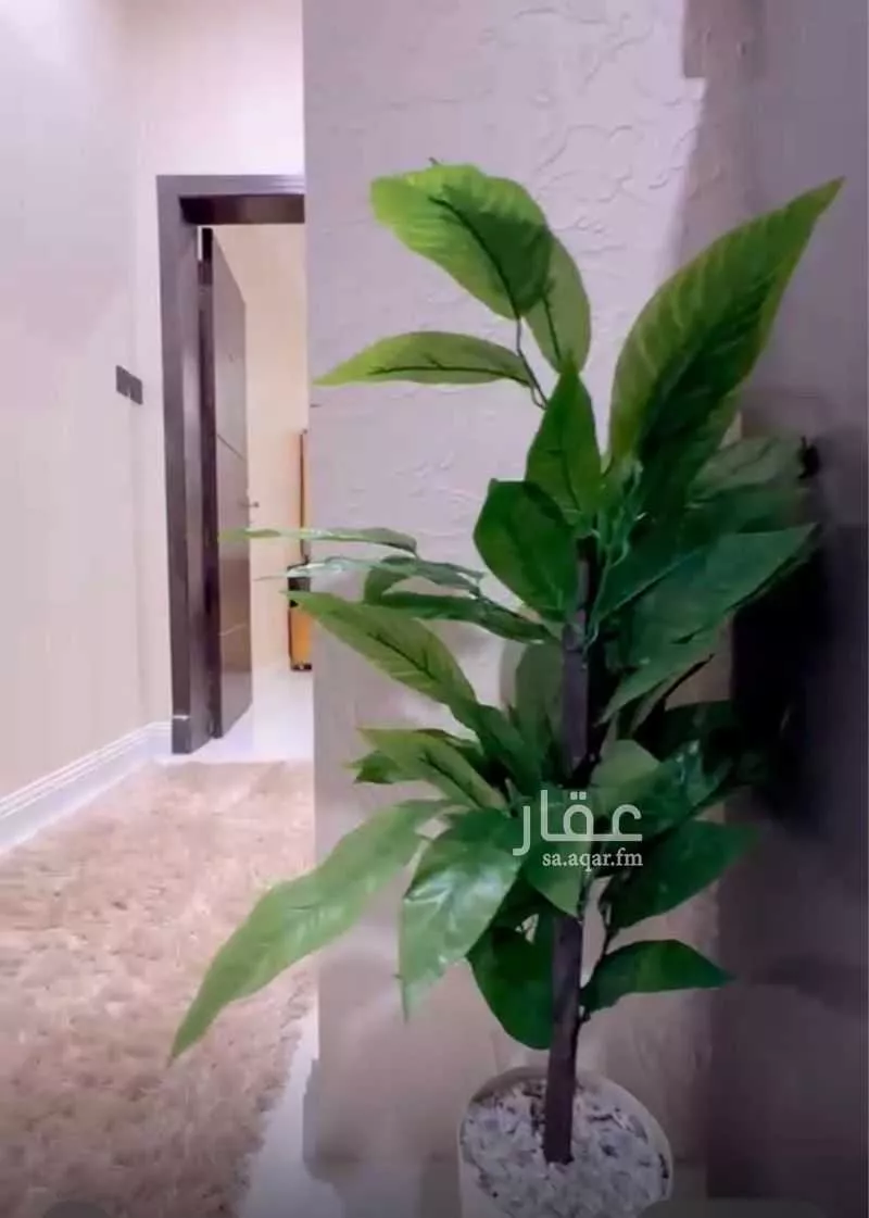شقة 1 غرف في الخبر الجنوبية 4