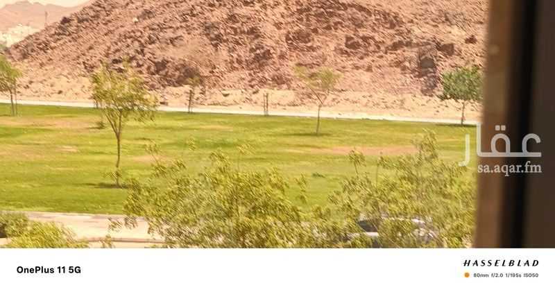 شقة 2 غرف في الملك فهد، المدينة المنورة 2