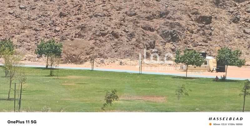 شقة 2 غرف في الملك فهد، المدينة المنورة 14