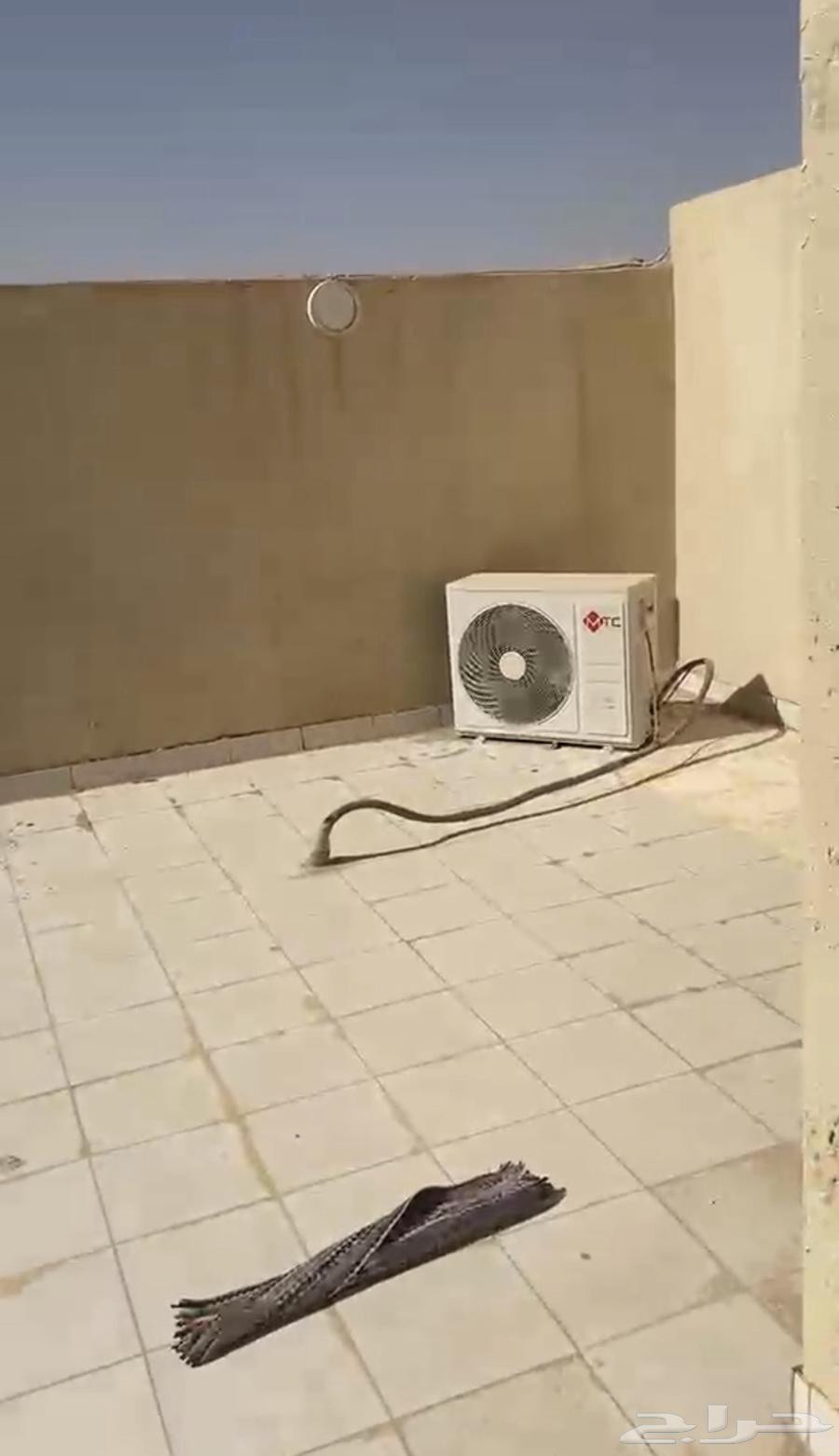 فيلا 4 غرف في بدر، الرياض 19