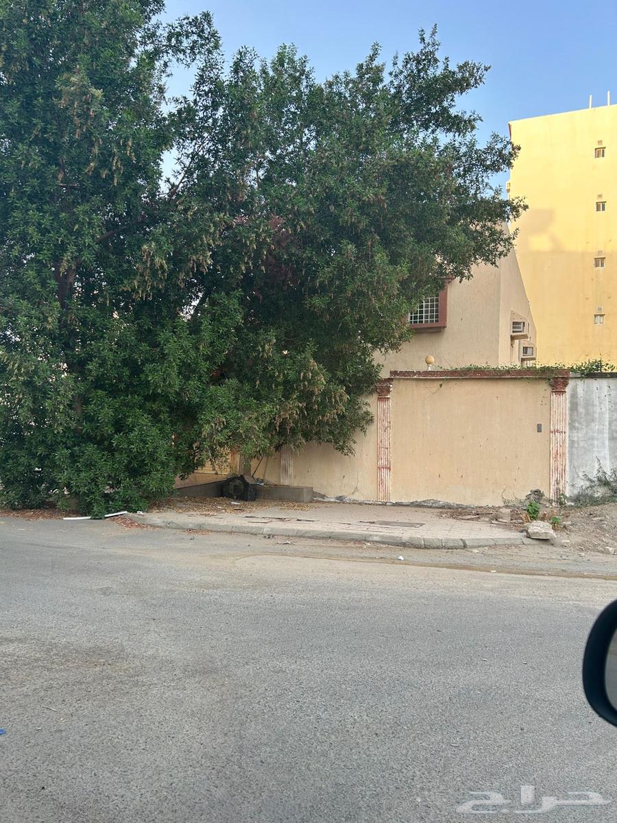 10 bedroom villa in Ar Rayan, Jeddah 4