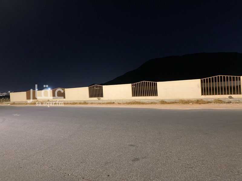 land in Al Sakb, Madinah 2