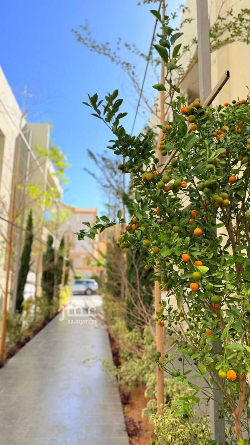 1 bedroom apartment in As Sadad, Taif 5