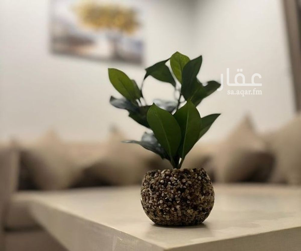 1 bedroom apartment in Al Muruj B, Tabuk 6