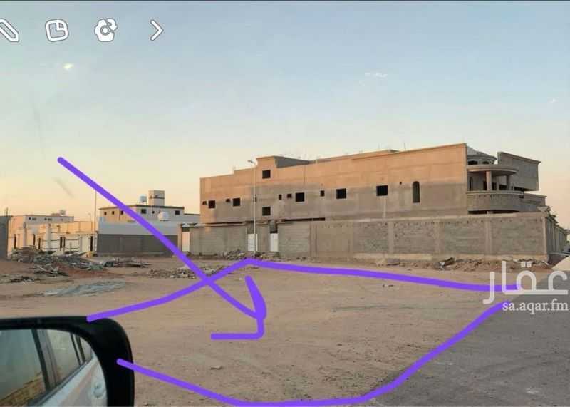 land in Abou Saba’ah, Tabuk 3