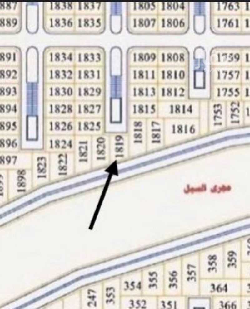 land in Abou Saba’ah, Tabuk 4