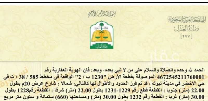land in Abou Saba’ah, Tabuk 2