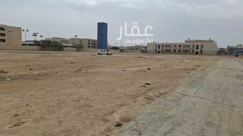 land in Al Utaban, Al Ahsa 3