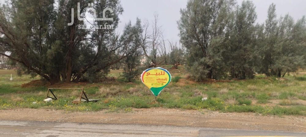 land in Al Muraydisiyyah, Qassim Region 2