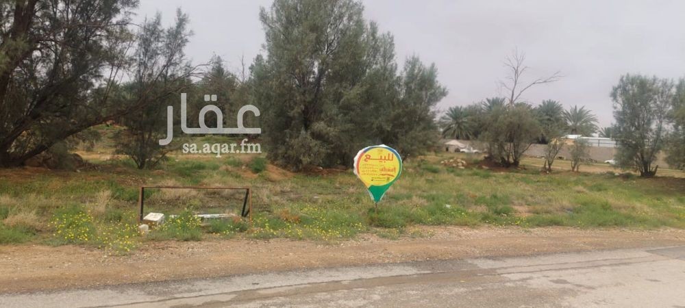 land in Al Muraydisiyyah, Qassim Region 5