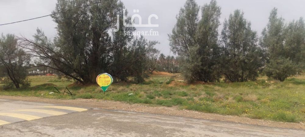 land in Al Muraydisiyyah, Qassim Region 4
