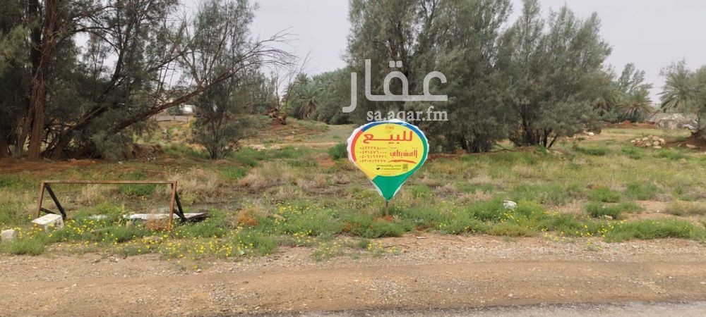 land in Al Muraydisiyyah, Qassim Region 3