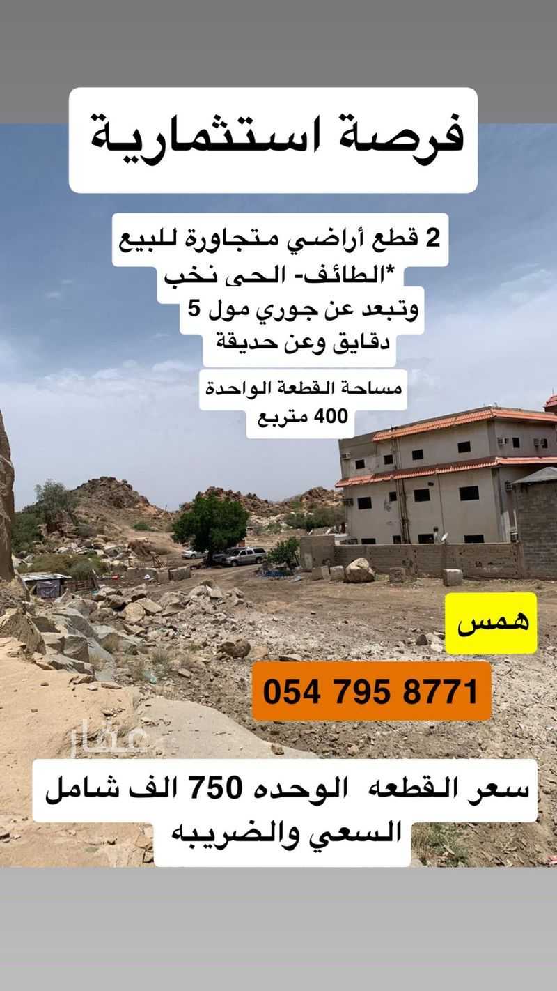 land in Nakhab, Taif 5