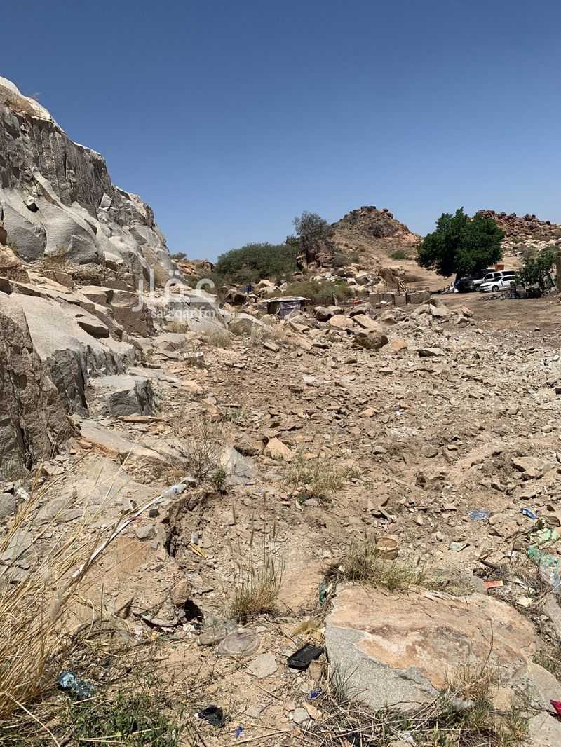 1 bedroom land in Nakhab, Taif 3