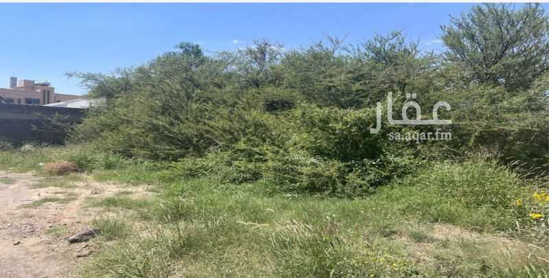 1 bedroom land in Guraiger, Abha 3