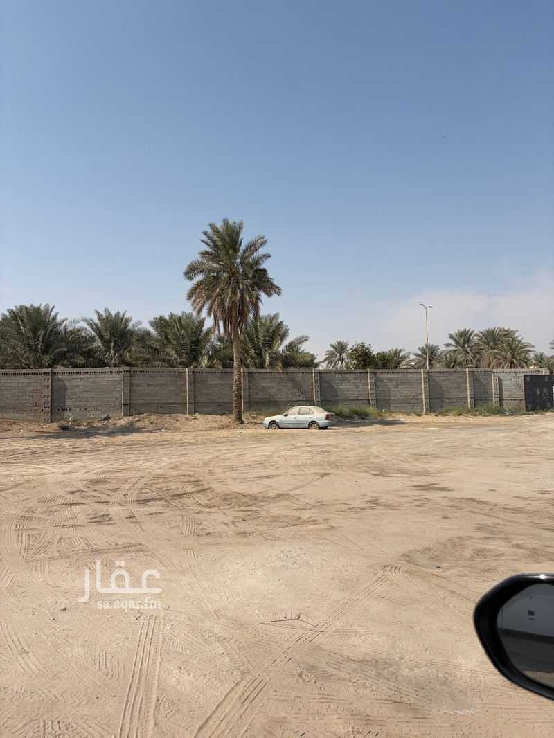land in Al Qryn, Al Ahsa 3